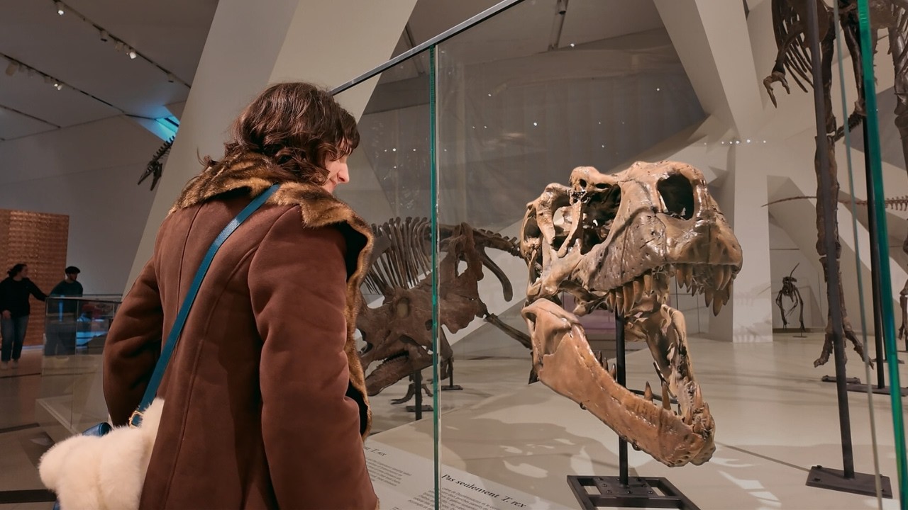 Romance and really old bones.