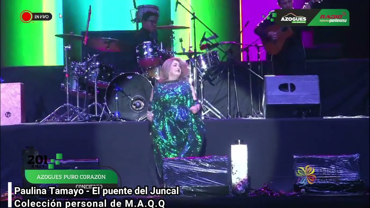 El puente del Juncal -  Paulina Tamayo