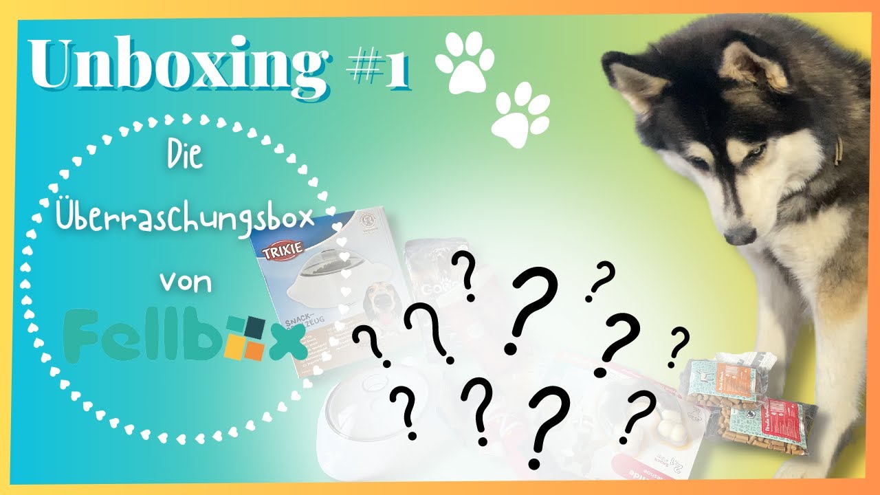 #1 Fellbox UNBOXING mit Micky | Lohnt sich das?! | Überraschungsbox | Huskies Lifestyle