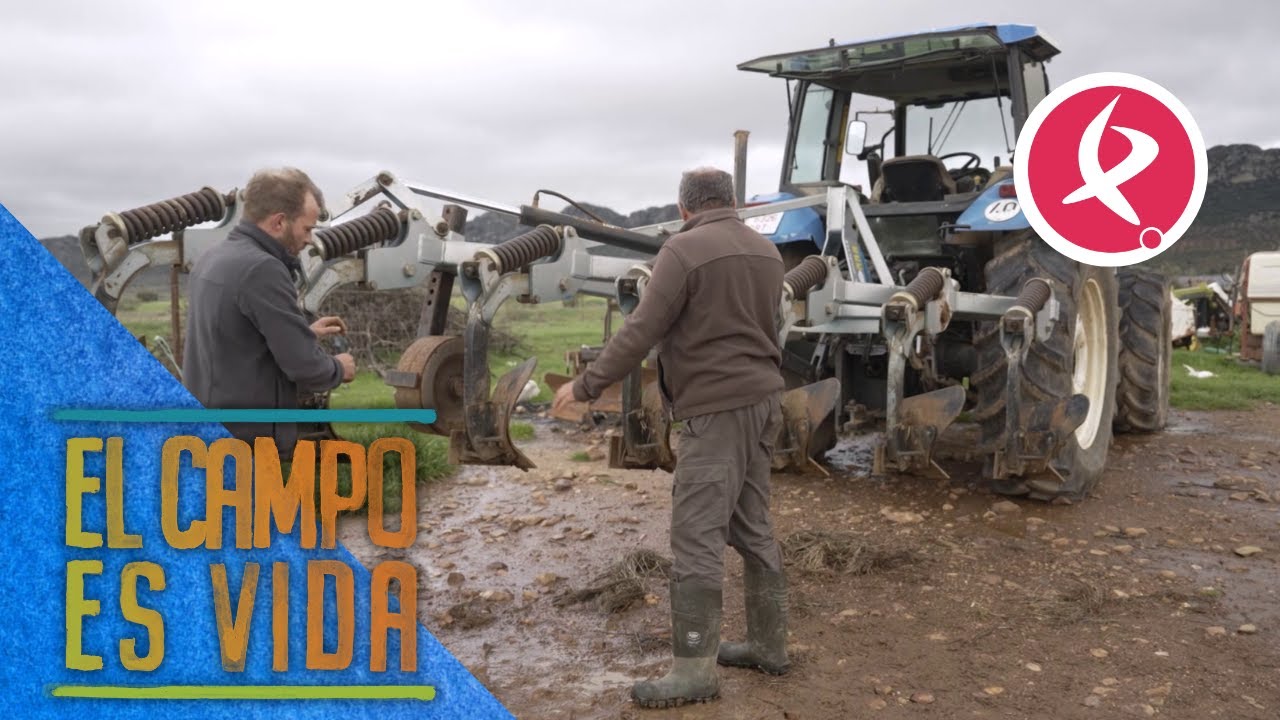 Sergio y su padre hacen el mantenimiento de la vertedera | El campo es vida
