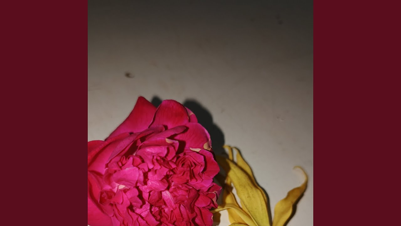 Learning to let you go