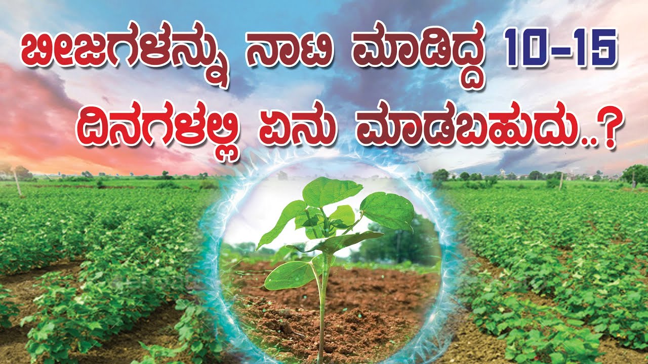 ಬೀಜಗಳನ್ನು ನಾಟಿ ಮಾಡಿದ್ದ 10-15 ದಿನಗಳಲ್ಲಿ ಏನು ಮಾಡಬಹುದು -  ಶ್ರೀ ಮೋಹನ್ ಅಗ್ರಿ ಮಾಲ್ #farmer #seed #sowing