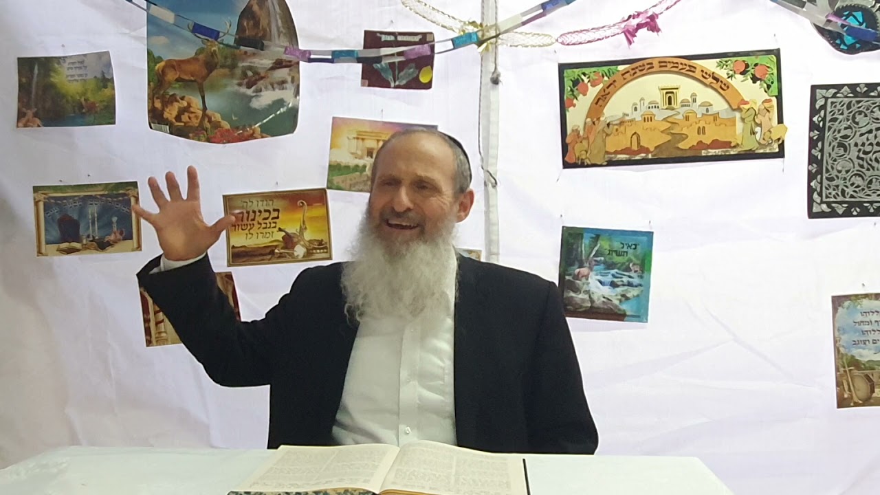 בין שמיים לארץ