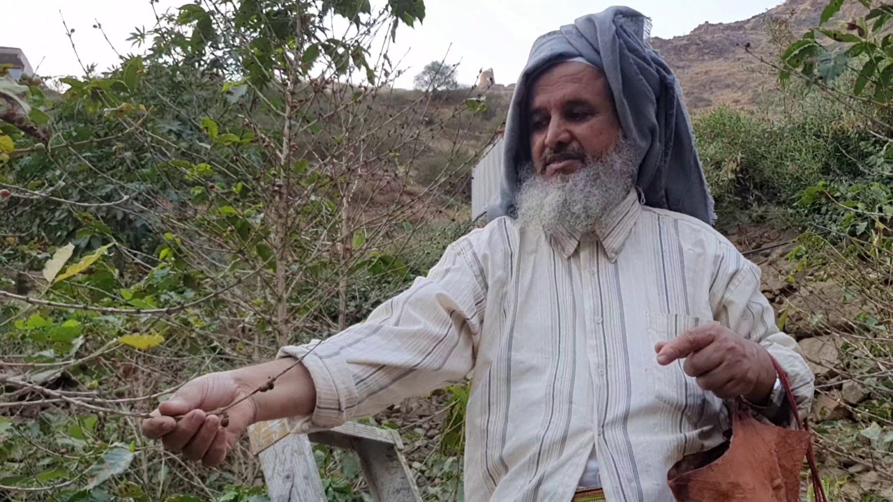 عندما تكون الزراعة عشق بالوراثة.. شاهد الجني في مزرعة يحيى السلمي