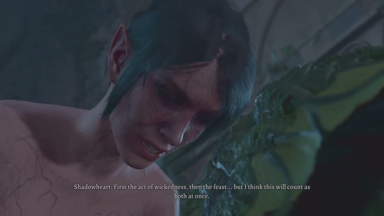 Shadowheart Romance After Killing Nightsong and Her parents