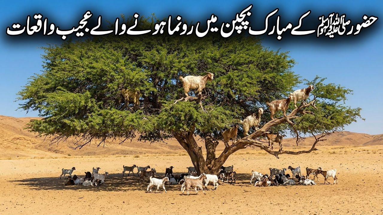 Hazoor Nabi Kareem ﷺ Ke Bachpan Ke Iman Afroz Waqiat | Seerat-un-Nabi ﷺ