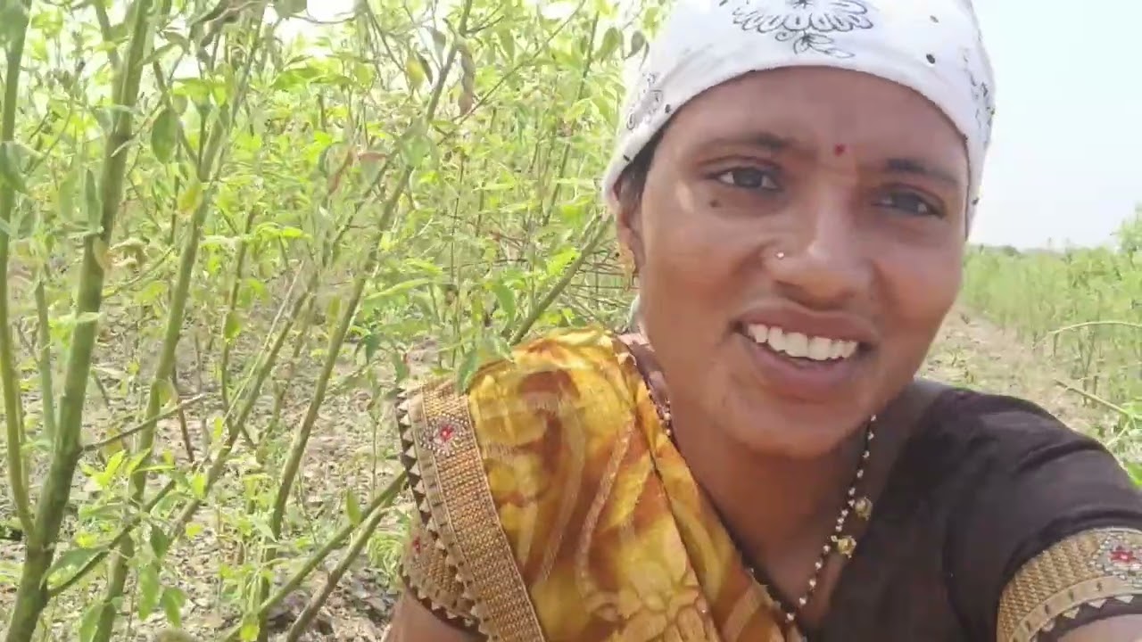 आज स्कूटी घेऊन शेतात आली शेळ्याना तुरी तोडून न्यायला शेळ्यांना खायला काय नाही ❤️#vlog 
