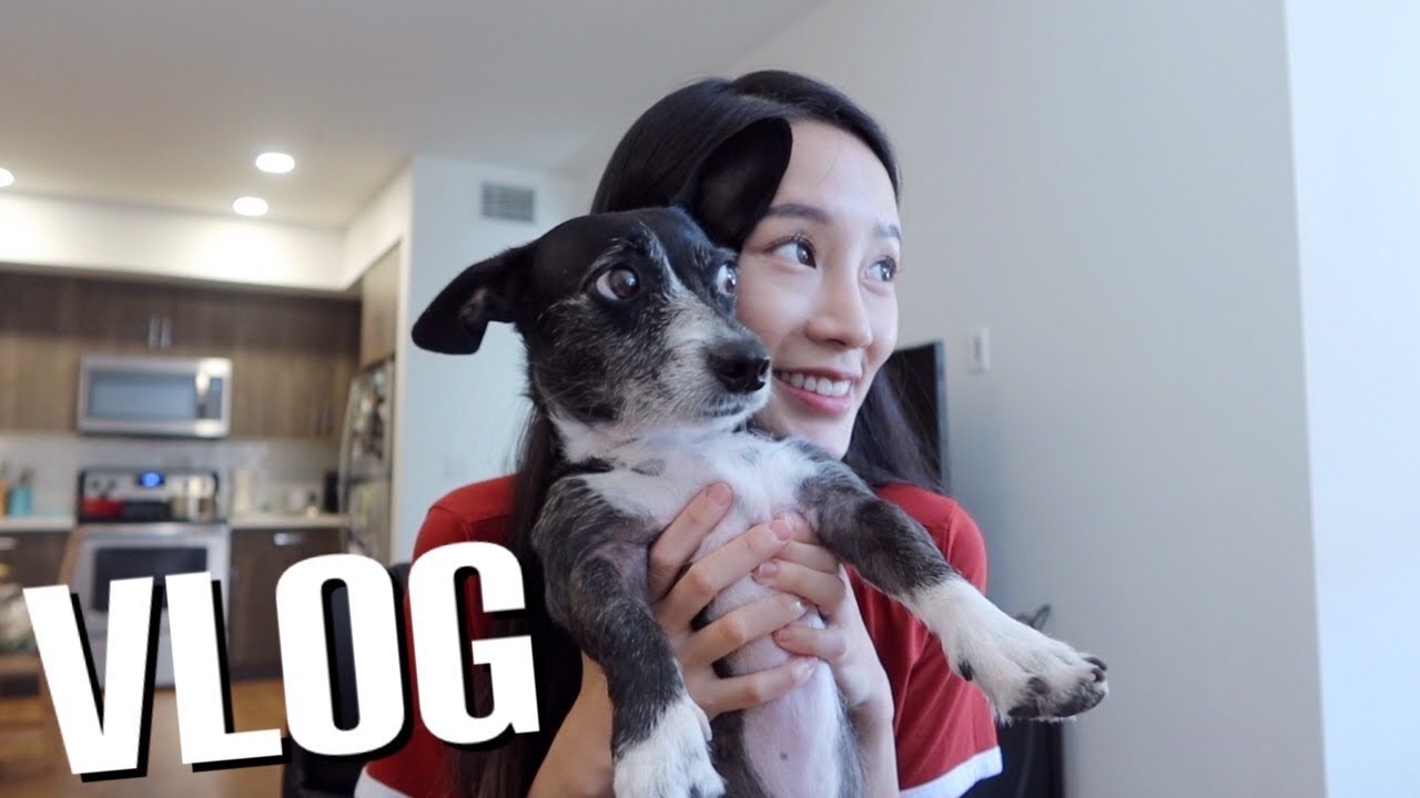 簡單週末 Weekend Vlog: 是～海～膽～💛🧡、綠豆沙牛奶+珍珠🥛、 紫米飯糰💯😍