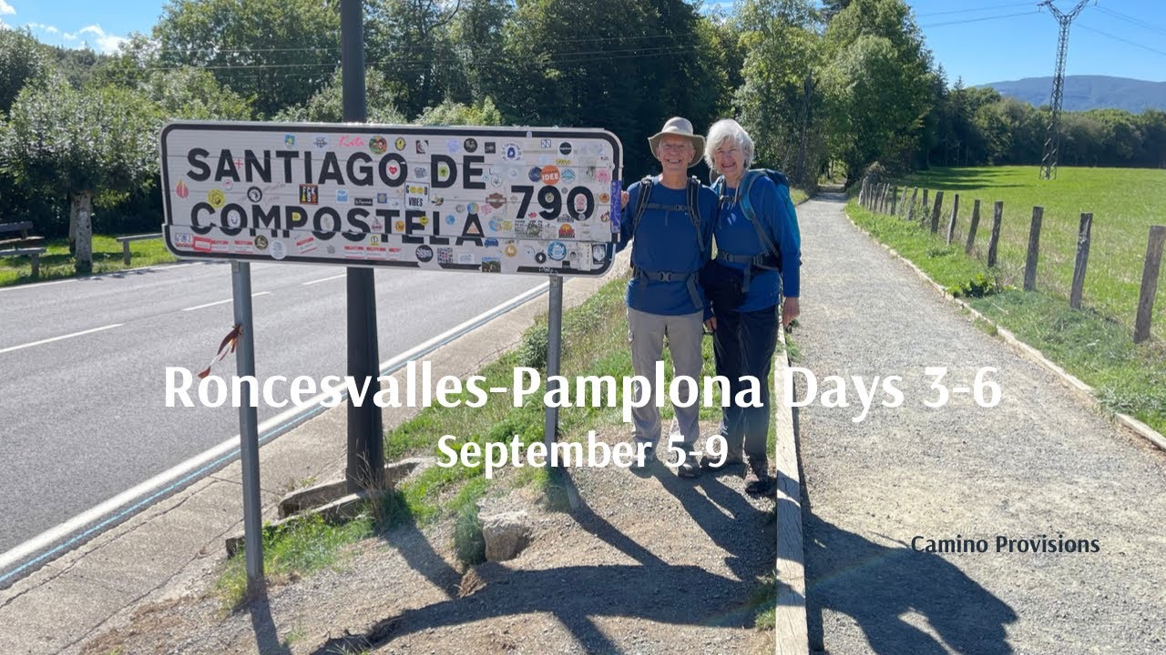Roncesvalles to Pamplona on the Camino