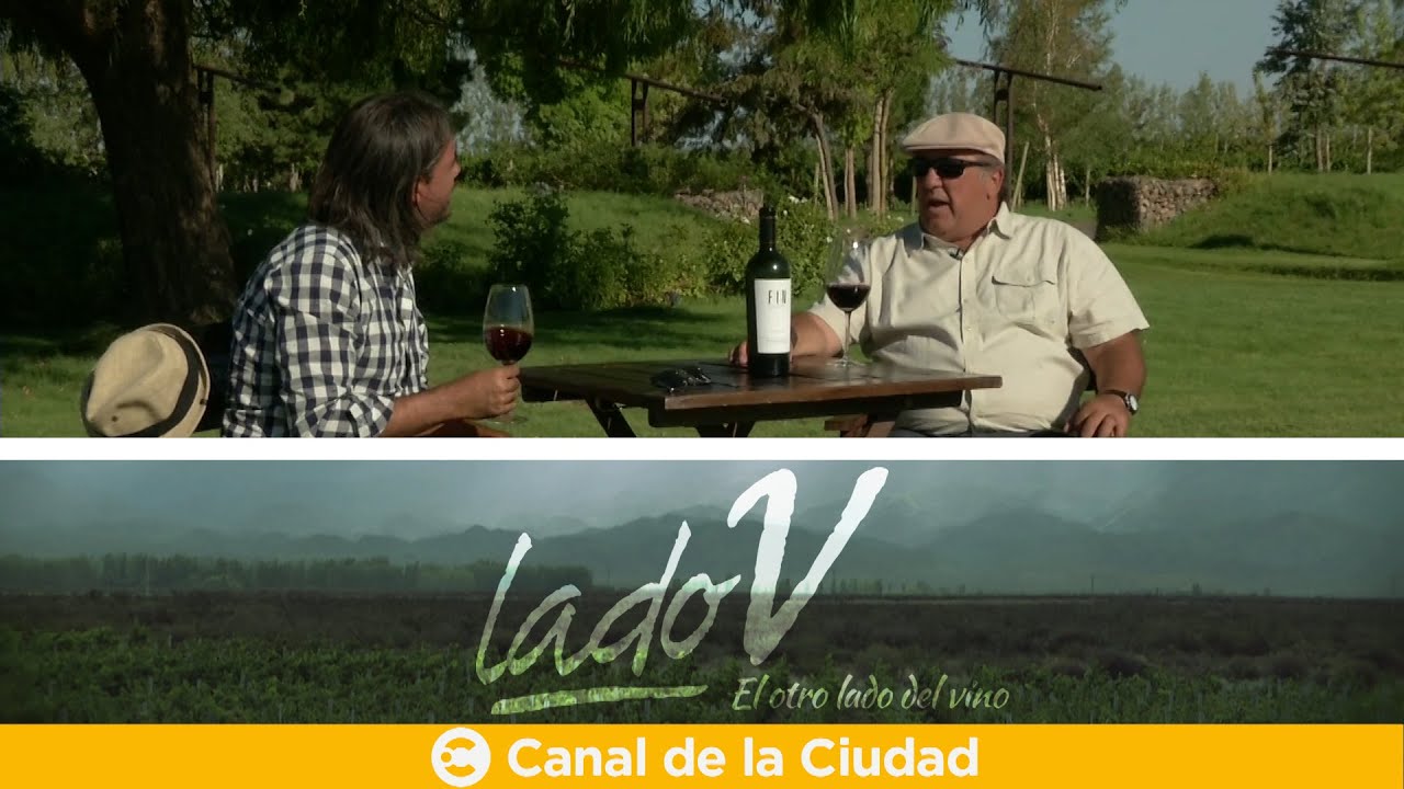 Julio Viola, creador de un nuevo polo vitivinícola y dueño de 