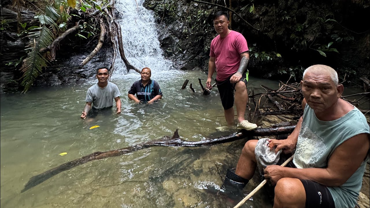 IKUT MENTUA KE KEBUN CARI SIPUT SEDUT JUMPA AIR TERJUN // AMBIL BULUH PAKAI MASAK //