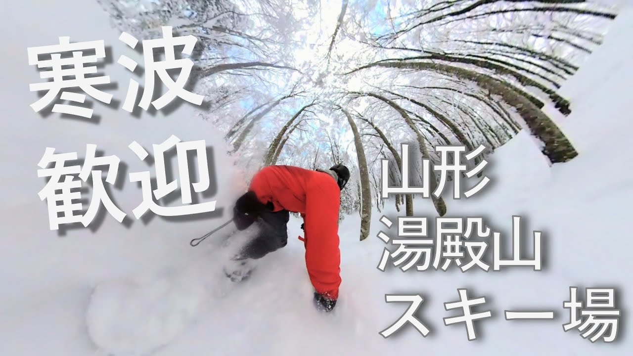 新年早々から新雪大量入荷！ツリーランもパウダーも堪能だ！
