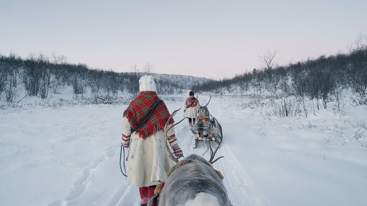 2 Hours of Christmas Journey to the Heart of the Arctic | All Aboard: The Sleigh Ride