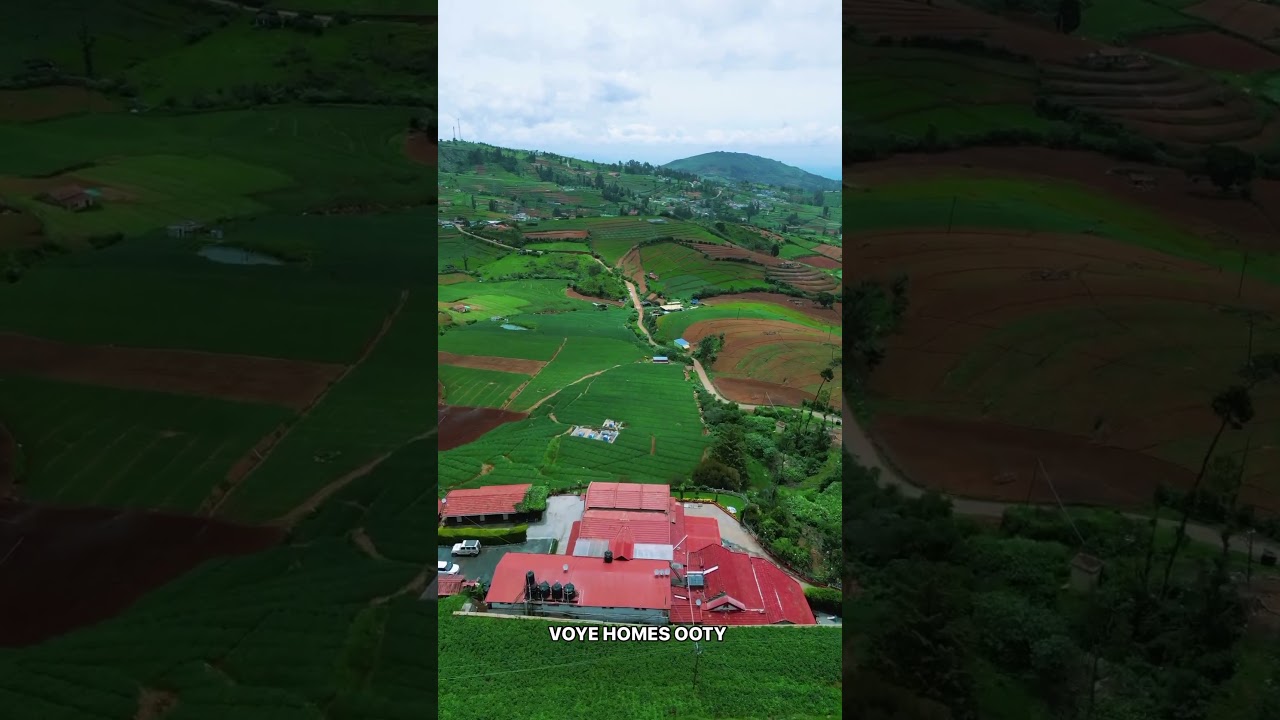Budget friendly resorts in Ooty| Plantation Stay in Ooty | Silent Valley Farm Resort by VOYE HOMES