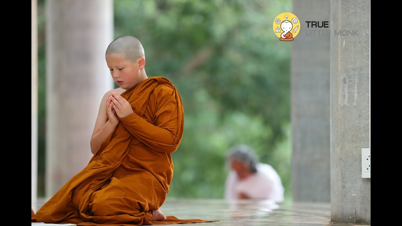 True Little Monk l Monks and Novices learn from saving wild boar team mission.