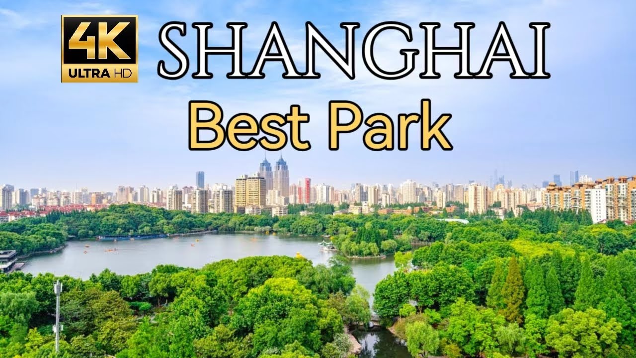 Shanghai Park, One of The Best, Changfeng Park, Putuo District | China Street Walk 4K
