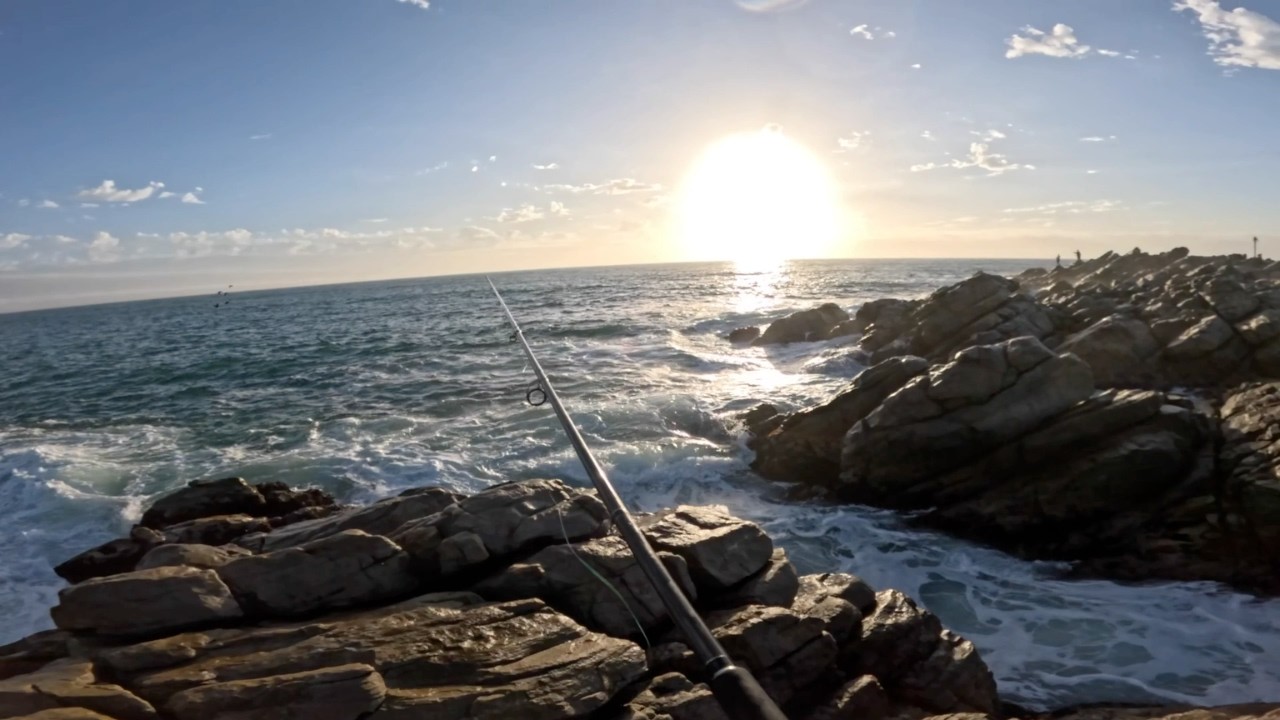 South Africa - Madness Off the Bricks - Artificial Fishing