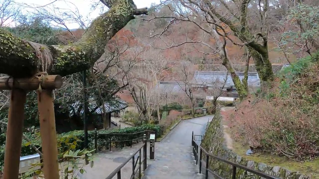 長谷寺花梨