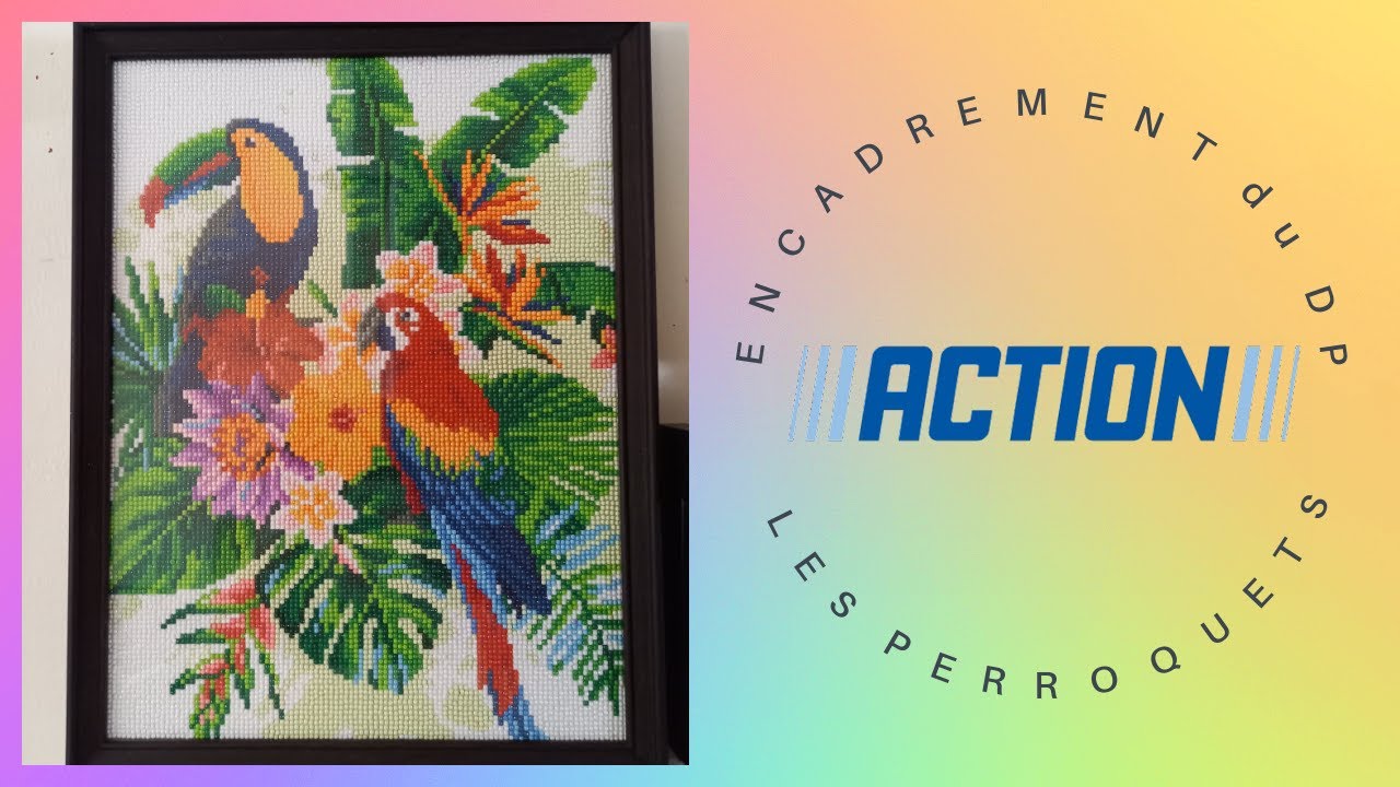 DIAMOND PAINTING ENCADREMENT du DP Action LES PERROQUETS