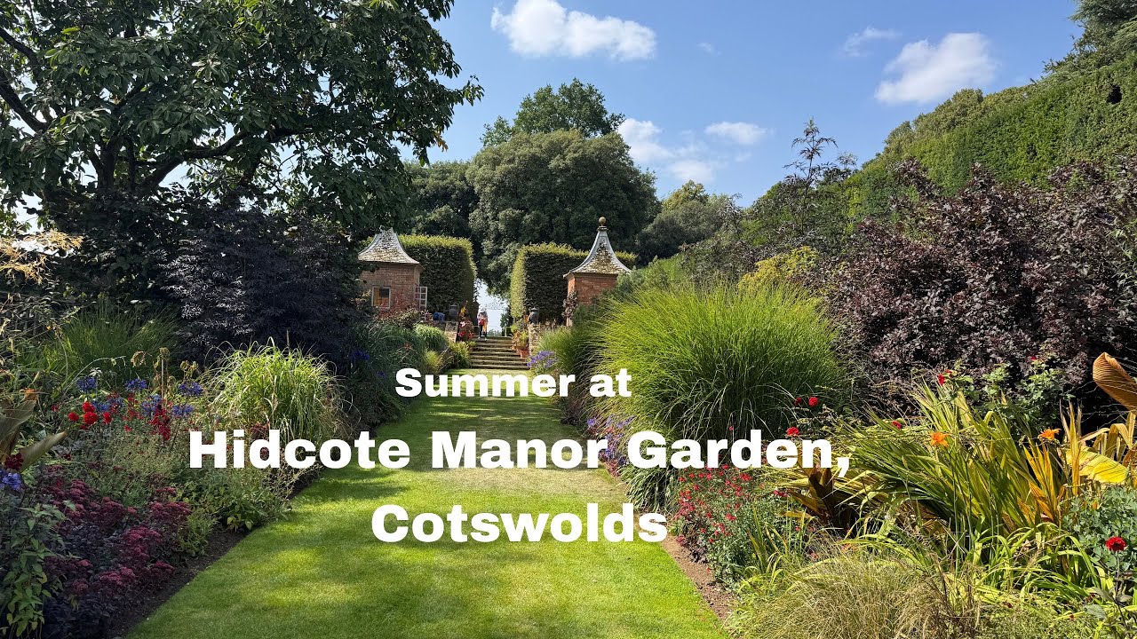 [4k]🇬🇧Hidcote Manor Garden 🌺Colourful Summer splendour in the most famous Garden in England #hidcote
