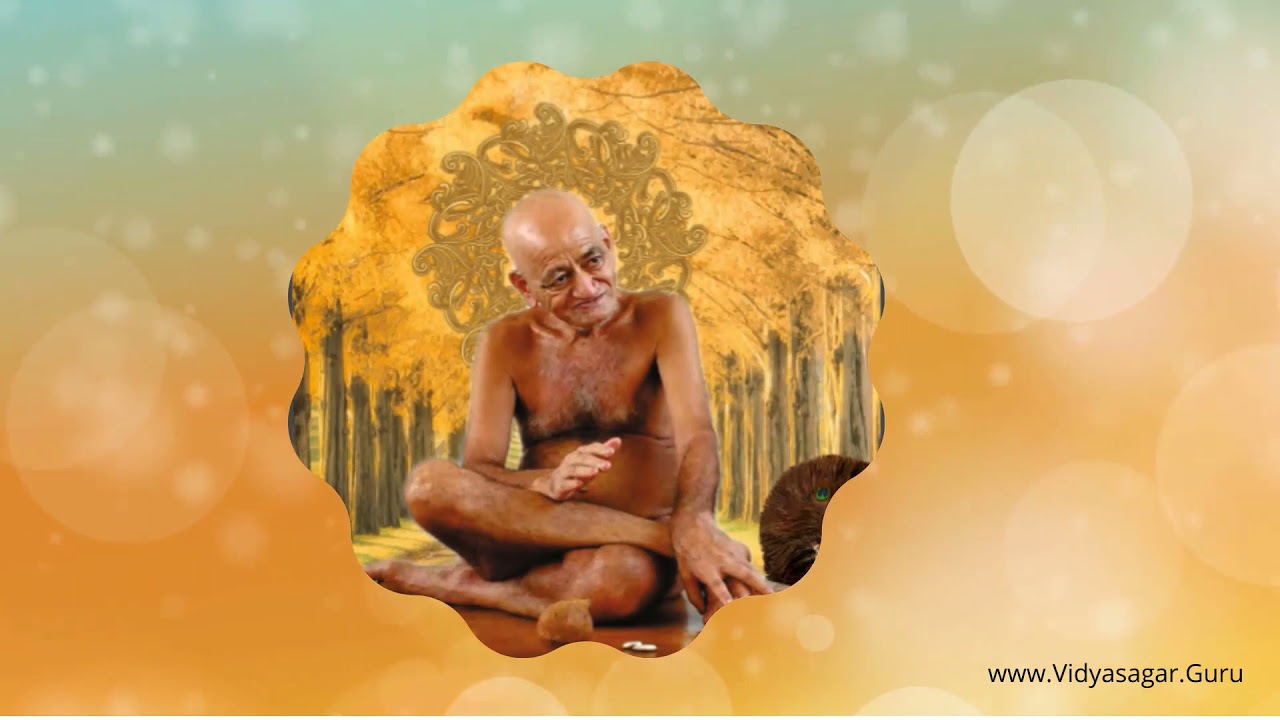 तेरा शुक्रिया है -  भजन आचार्य श्री विद्यासागर जी महामुनिमहाराज : स्वर व्रती डॉ. मोनिका सुहास शहा