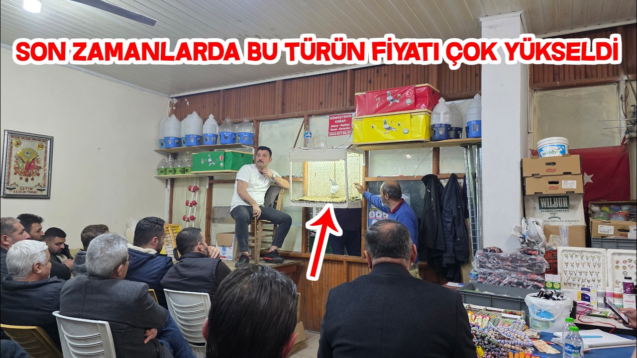 Askeri Güvercin İhalesi Şubat Ayı Güncel Fiyatlar