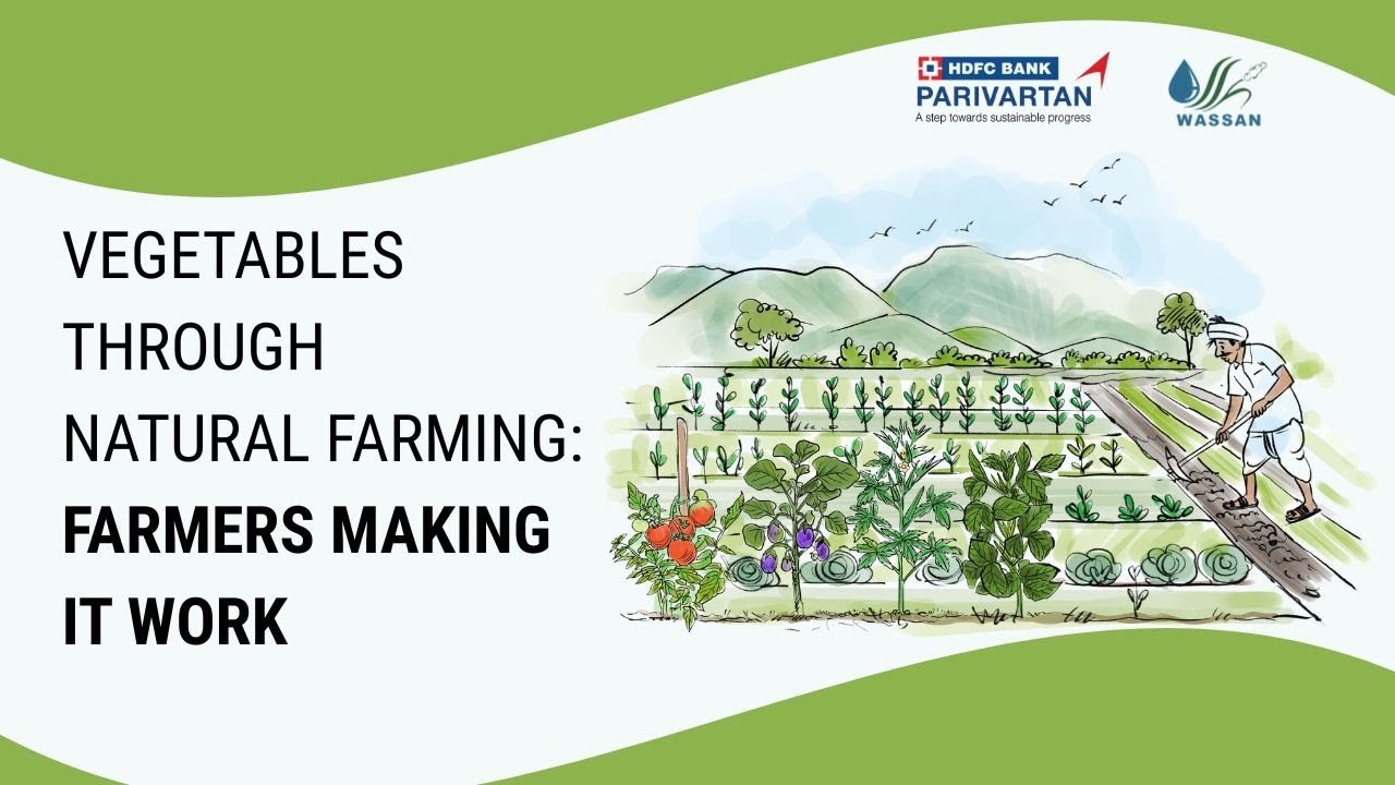 Vegetables through Natural Farming: Farmers Making It Work