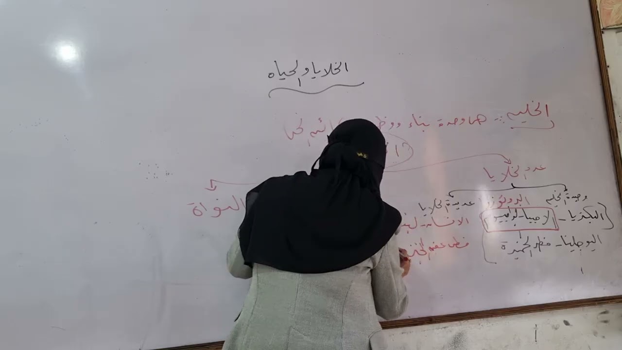 الوحده الثالثه الصف الاول الاعدادي الخلايا والحياه ترم اول ٢٠٢٦ ا  امل سعد 