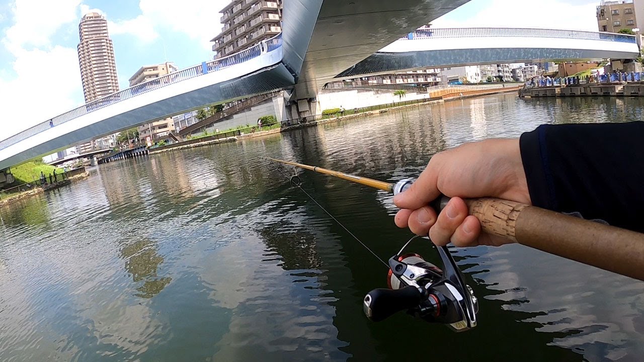小名木川で魚釣り【東京】