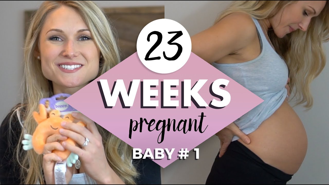 23 WEEKS PREGNANCY UPDATE // Nursing Chair Shopping, Emotional OB Visit, and Everything else!