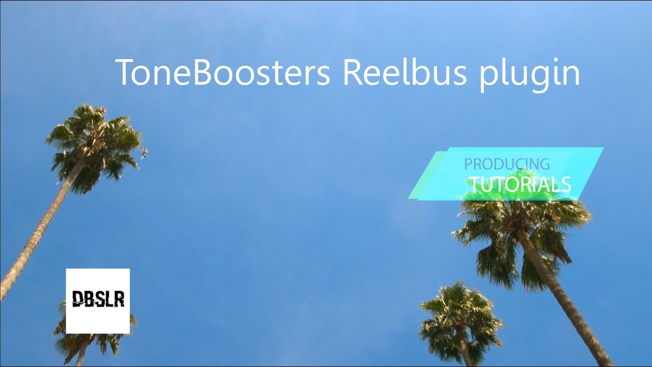 DBSLR - Music Producing Tutorial TB Reelbus Plugin #2