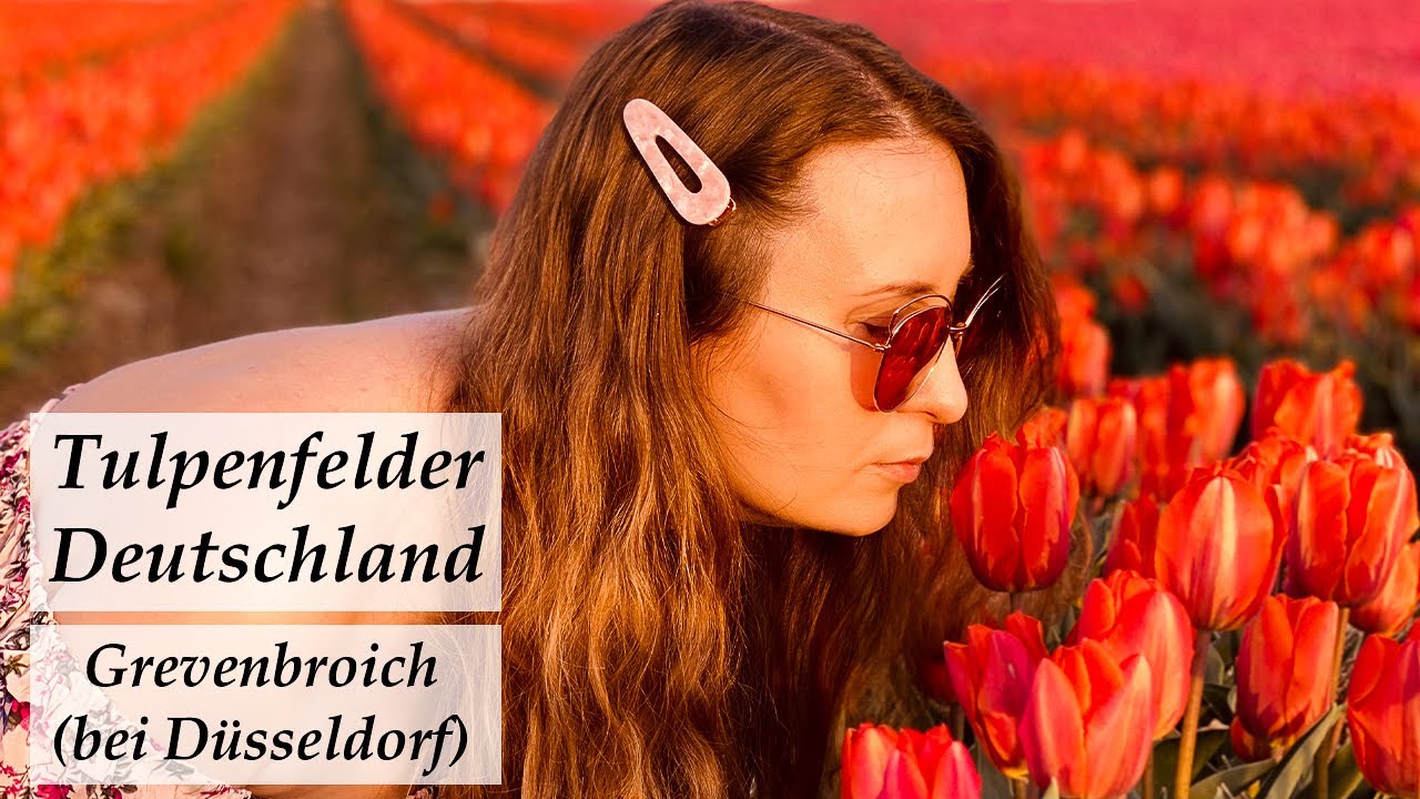 Tulip Fields Germany / Reise Vlog / Tulpenfelder Deutschland