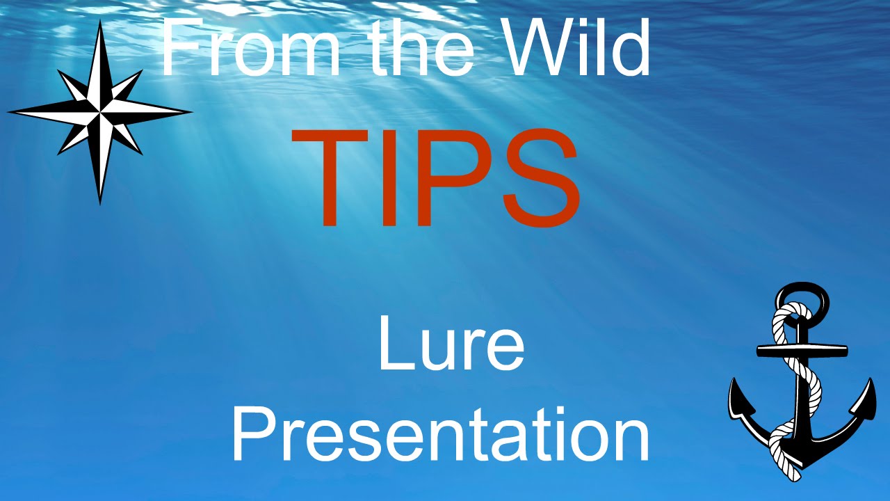 From the Wild tips- Lure presentation