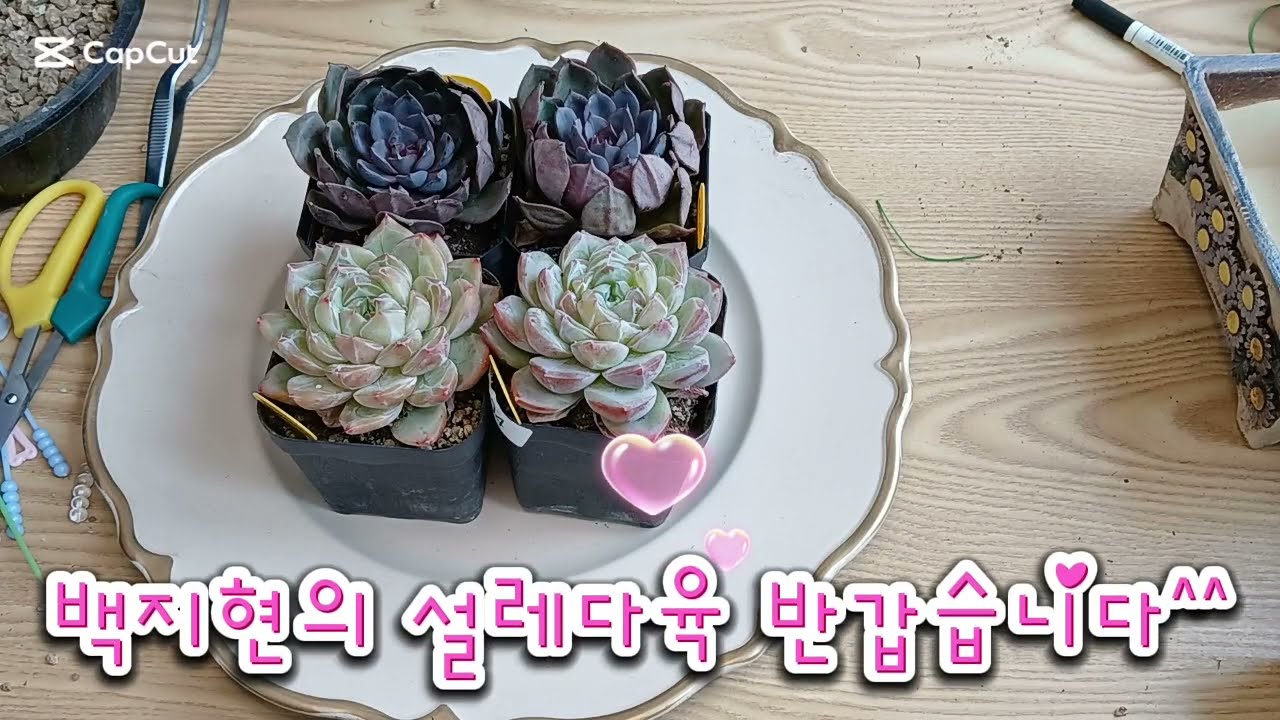 하나+하나= 하나^^ 