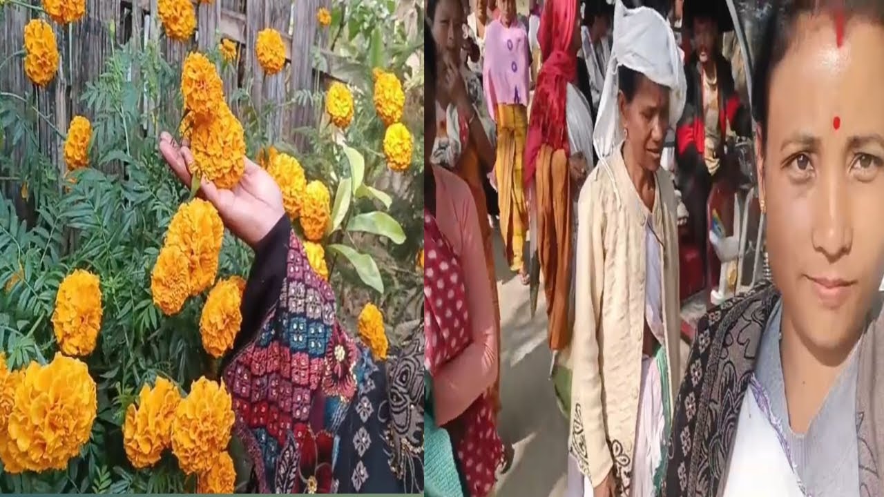 গোট গোট গোট অকল গোট কাম বন ন‌ই‌ আৰু #  ASSAMES BLOG #
