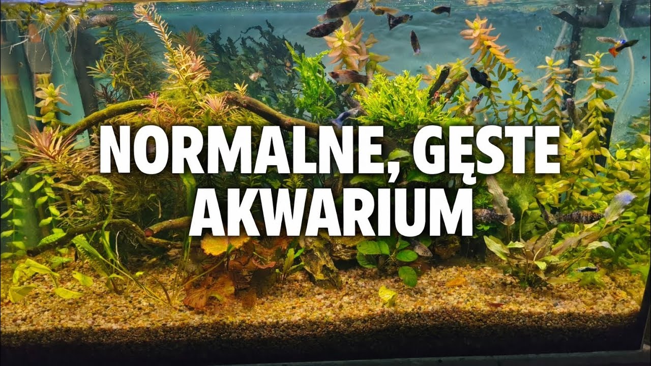 Luźna pogawędka.......