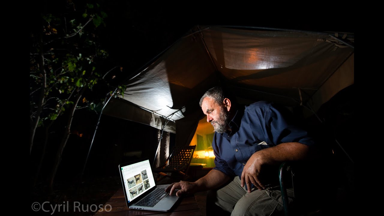 Meet Dr. Greg Rasmussen of the Painted Dog Research Trust