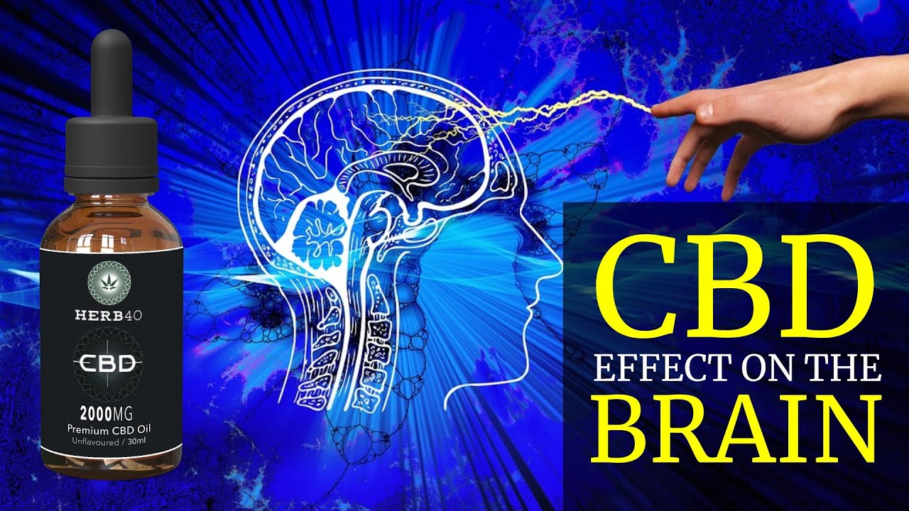 Exploring the Mind-Blowing Effects of CBD Oil on the Brain