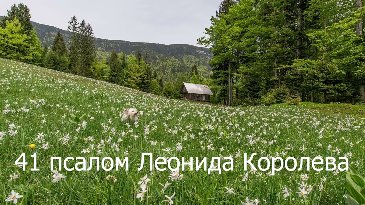 Молитва о даре повествования, таланте рассказчика / 41 псалом Королева Леонида
