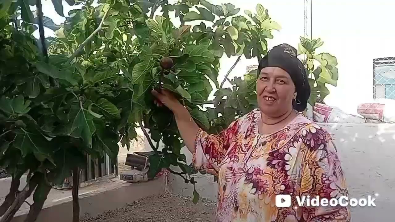 ولدي حبيبي عواني فدويرتي ❤️‍🩹🥹فرحتي مكتوصفش
