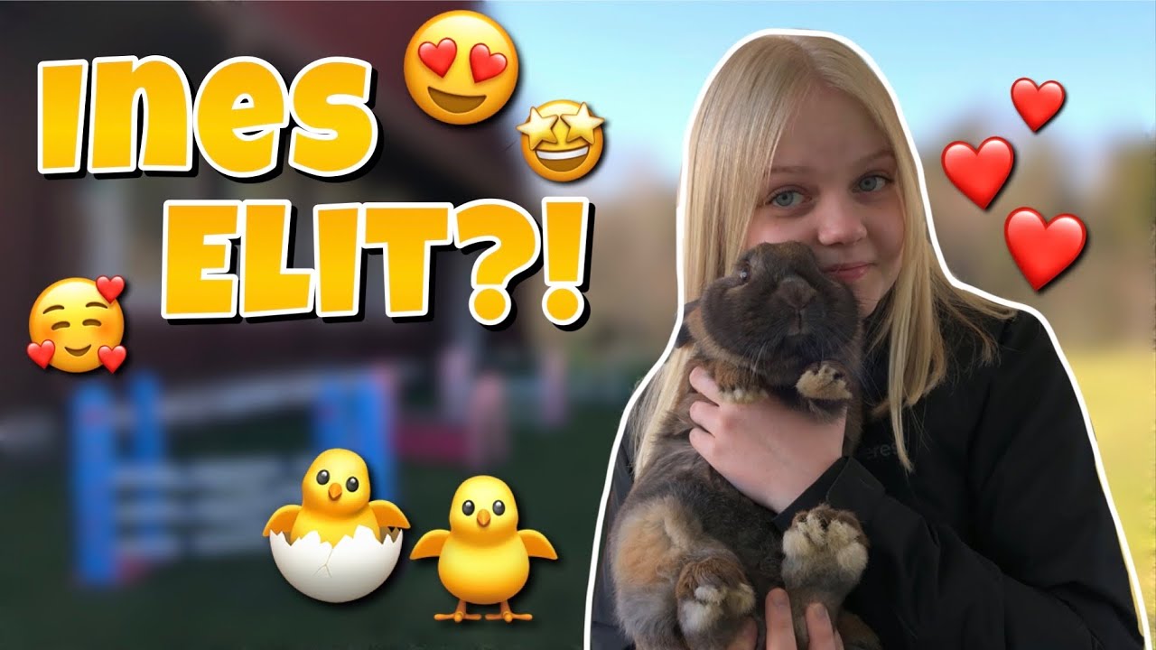 Påsktävling~ Ines blir ELIT?!
