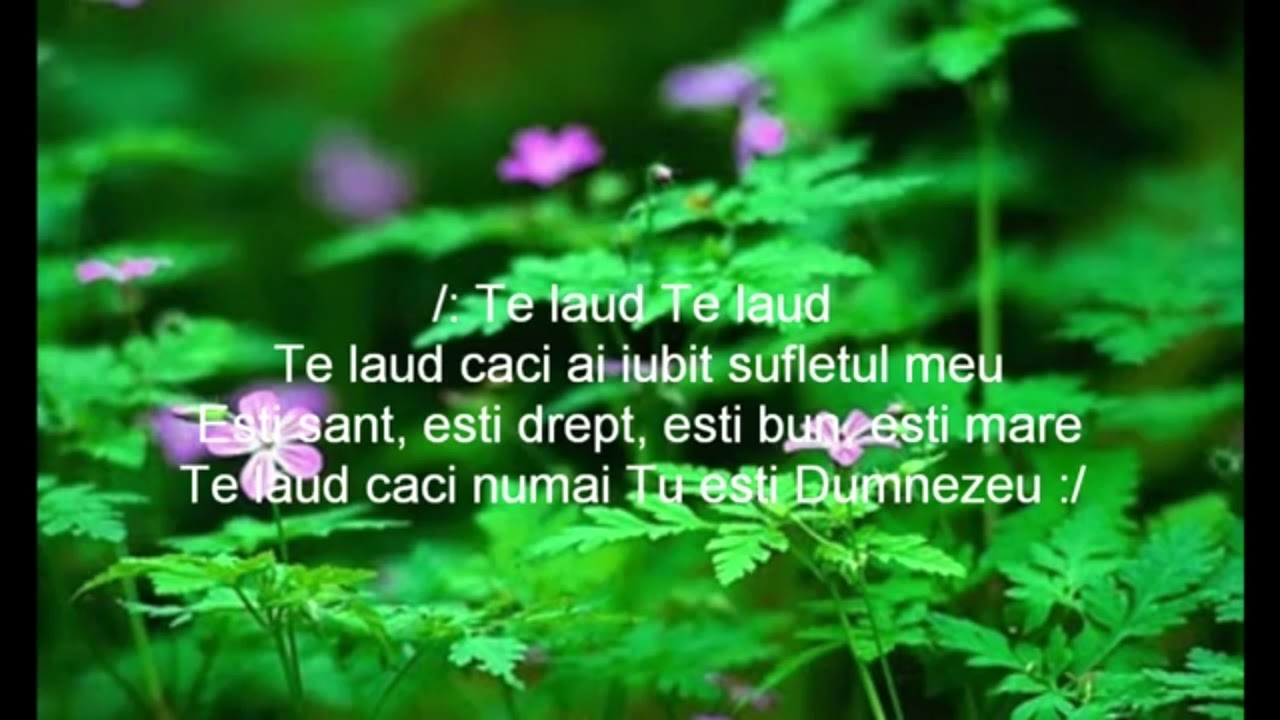 Te laud/Cand nici nu existam-Negativ Ton fata