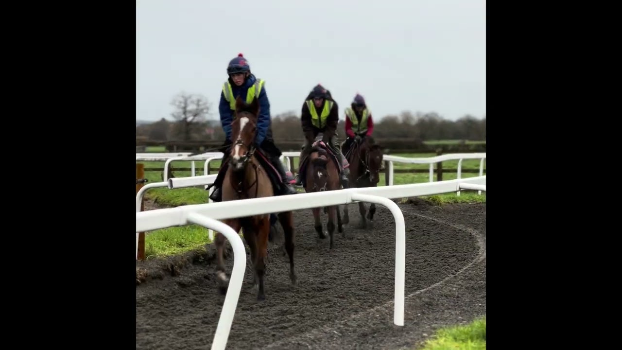 A morning on the gallops with The Gem State 