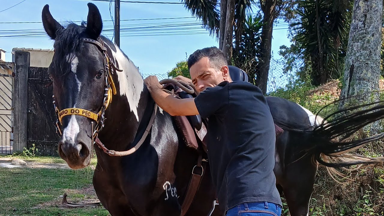 TREINAMENTO DiFicil MAIS DEU BOM