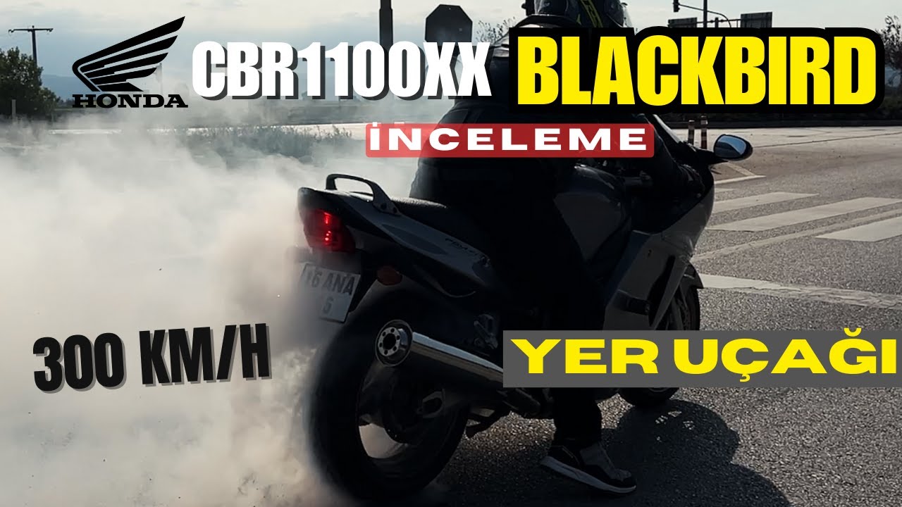 En Büyük CBR! Honda CBR1100XX Blackbird Detaylı İnceleme (Sürpriz Sonlu!)