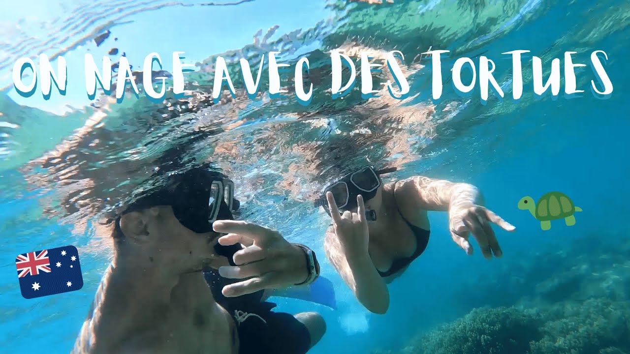 ON NAGE AVEC DES TORTUES ! 🐢  EP 6