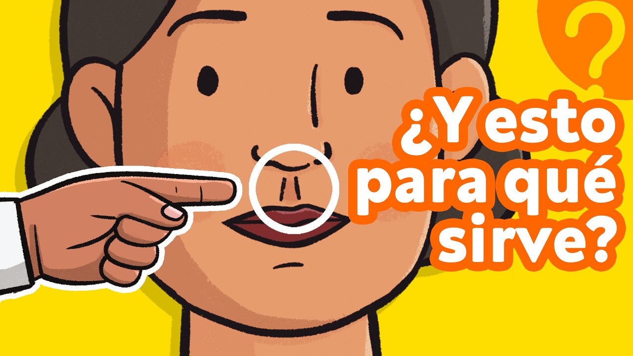 ¿Sirven de algo estas OTRAS 7 partes de tu cuerpo? 👫