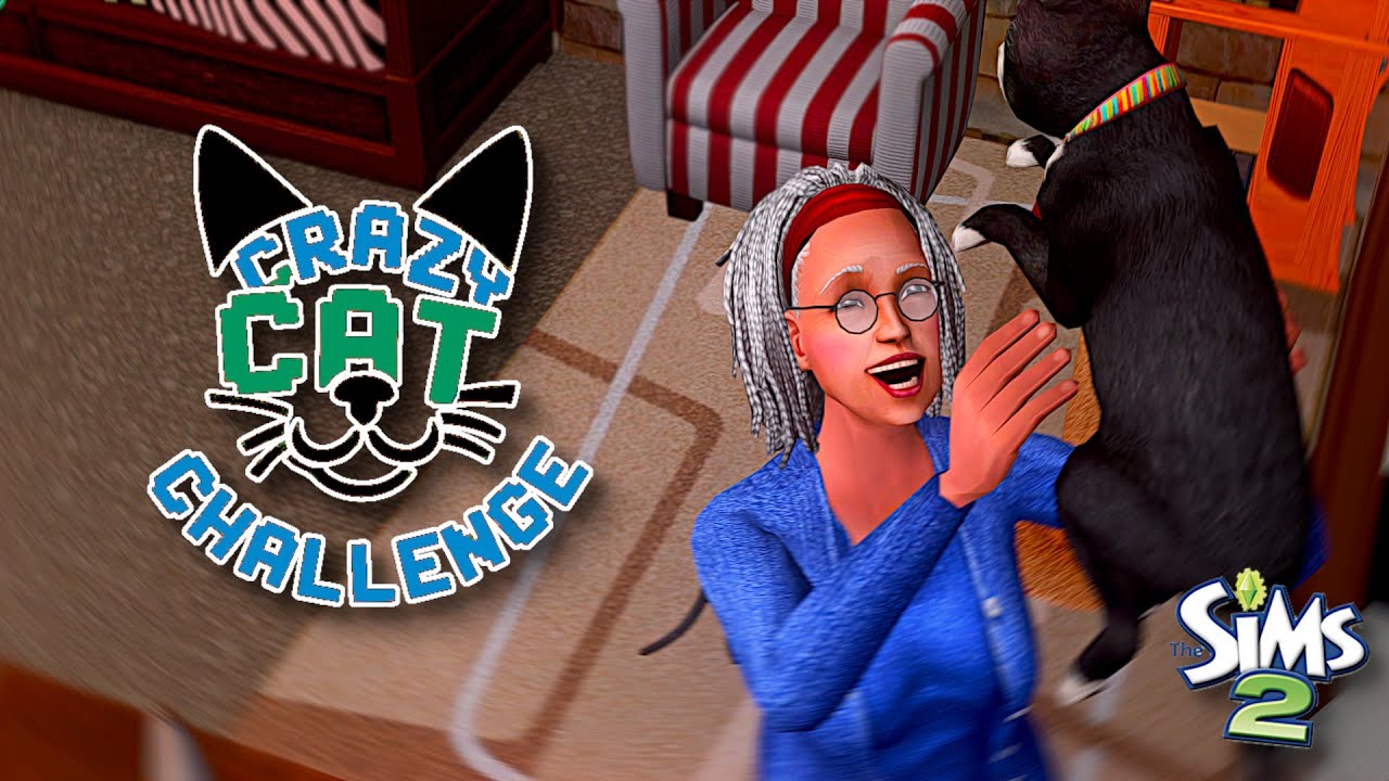 Ещё более безумное испытание для любительницы кошек (геймплей Sims 2)