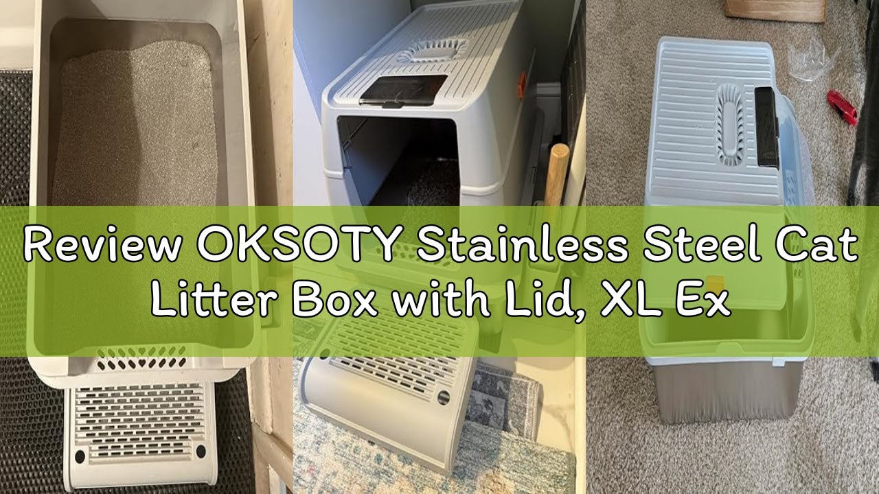 Review OKSOTY Stainless Steel Cat Litter Box with Lid, XL Extra Large Litter Box for Big Cats, Enclo