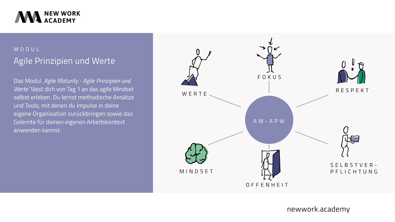 Agile Maturity - Agile Prinzipien und Werte